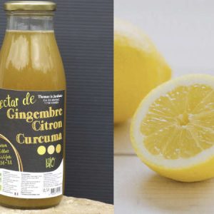 Boisson concentrée gingembre, curcuma et citron 100 % bio